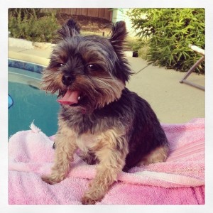 10570043_1482455221997975_579056908_n