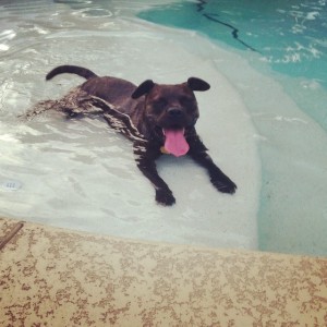 10584722_1485194501719265_1242807445_n